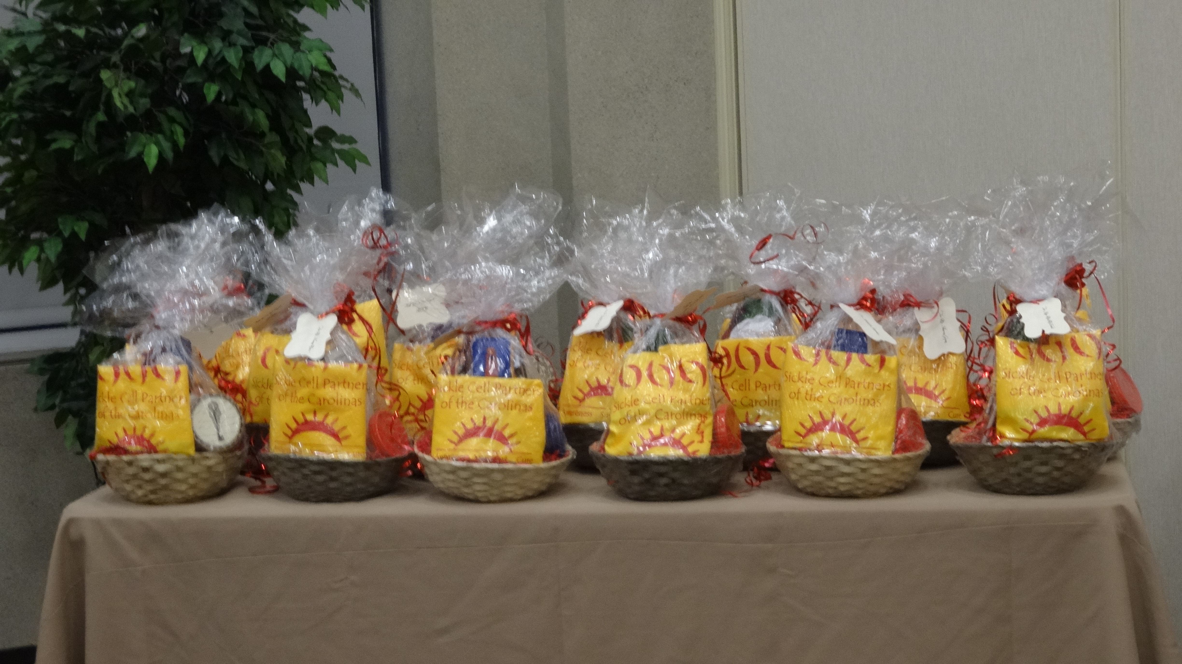 SCPOC Conference and Turkey Trot